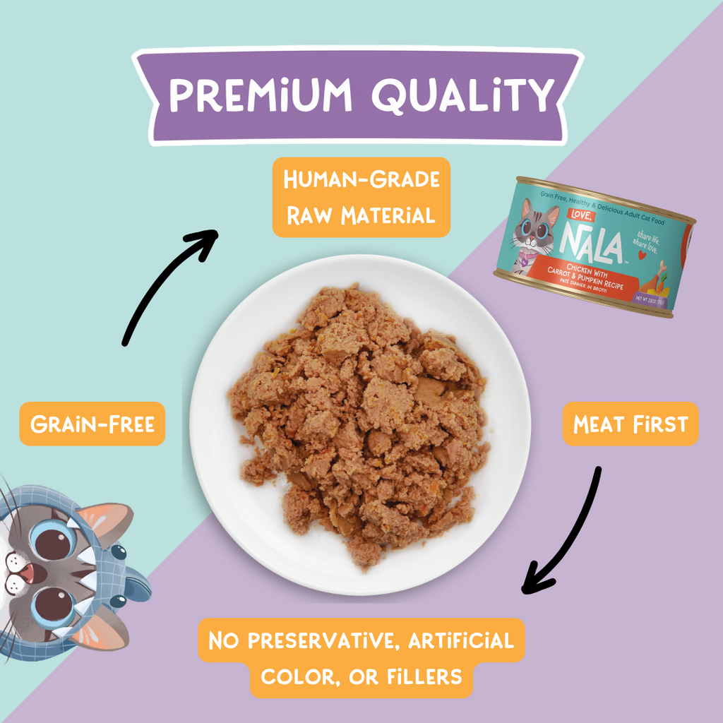 chicken paté with carrot and pumpkin food quality