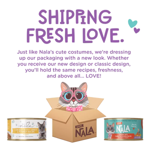 AllItems_ShippingFreshLove_0c3