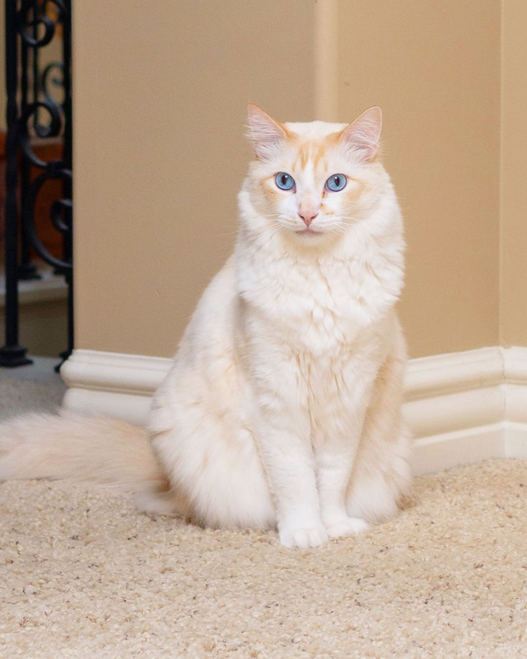 nala