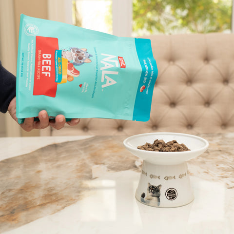 A hand holds a large turquoise bag of Mula Beef Gourmet Treats above a white elevated pet bowl filled with air-dried food, set on a marble table.