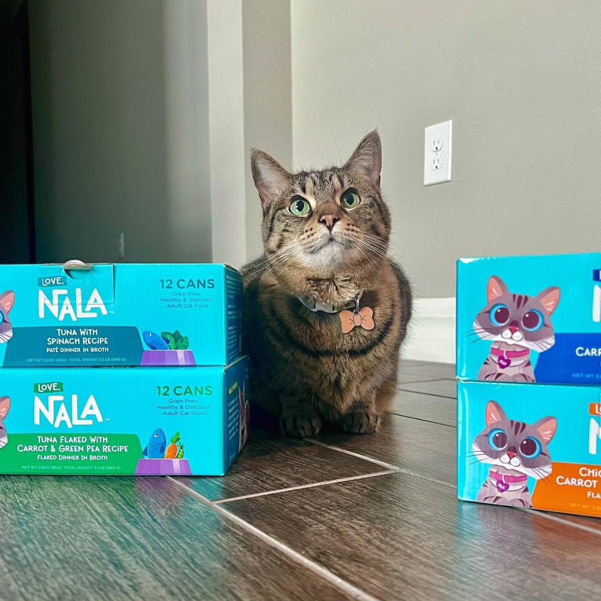 love-nala-gift-card