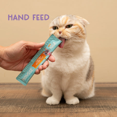 A hand holds a teal cat treat stick toward a calico cat licking the package, with the text 'HAND FEED' on a beige background.