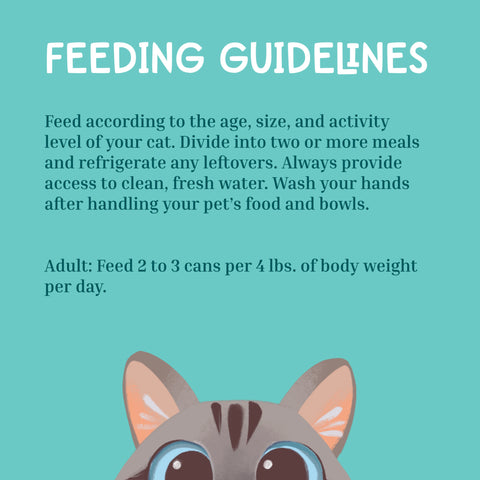 A teal graphic with the heading 'FEEDING GUIDELINES' in white, followed by black text about feeding a cat, plus a cartoon cat face at the bottom.
