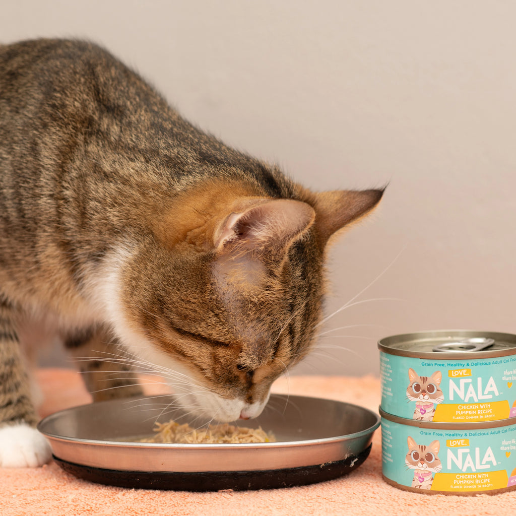 A tabby cat with white paws and a white chest is eating wet cat food from a metal bowl, with two cans of NALA cat food standing next to it on a pink surface against a plain beige wall.