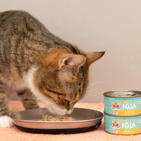 A tabby cat with white paws and a white chest is eating wet cat food from a metal bowl, with two cans of NALA cat food standing next to it on a pink surface against a plain beige wall.