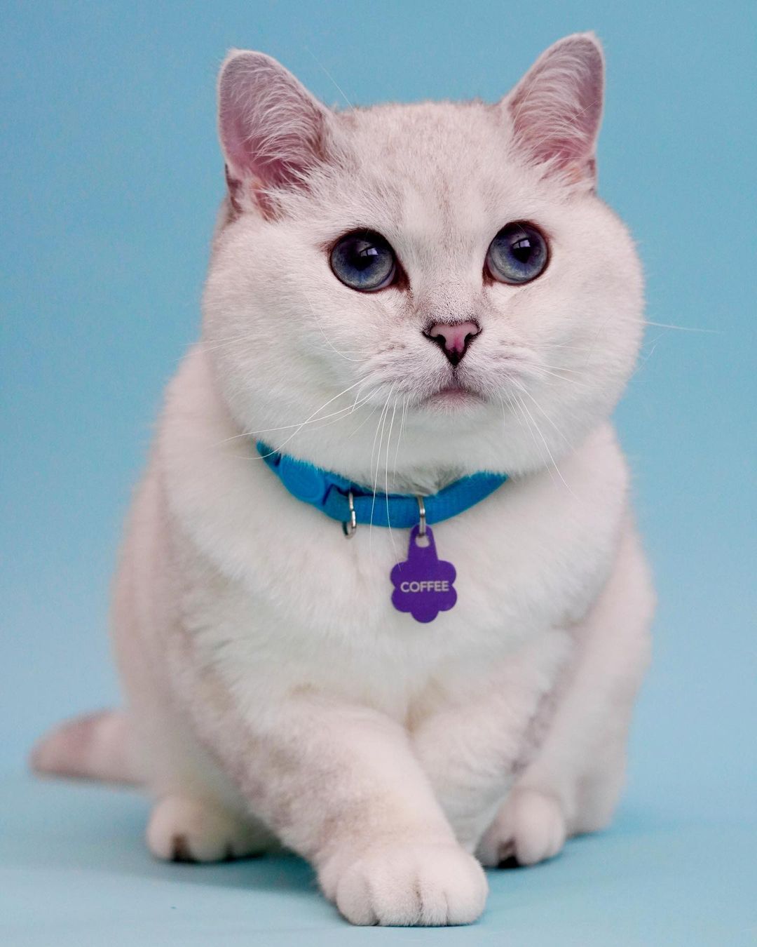 Meet the Family | Love, Nala