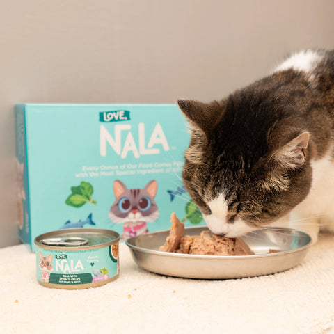 A box of Love Nala cat food next to a gray tabby cat eating from a bowl.