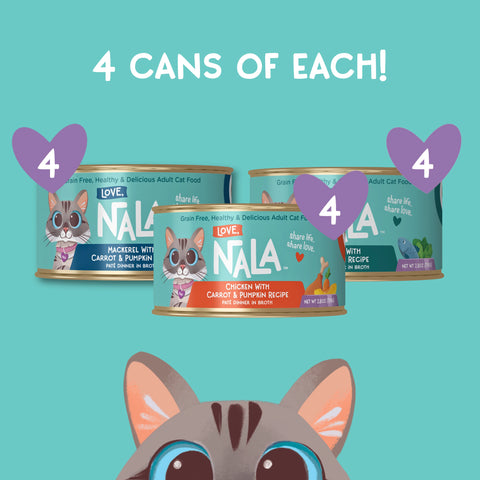 Four cans of NALA Love Adult Cat Food are shown on a teal background with the text '4 CANS OF EACH!' and purple heart graphics labeled '4'. A stylized cat face appears at the bottom.