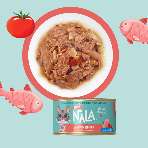 A can of NALA salmon recipe wet cat food is shown below a circular inset photo of the canned food, surrounded by cartoon-style red fish and tomato illustrations on a light blue background.