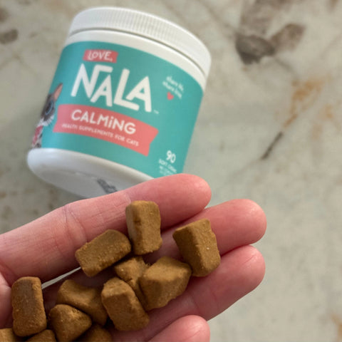 A hand holding several small brown NALA calming treats, with a white and teal NALA supplement jar blurred in the background on a light stone surface.