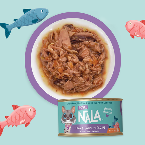A can of NALA Tuna & Salmon Recipe wet cat food is shown below a bowl filled with the shredded cooked food, set on a light aqua background with decorative fish illustrations.
