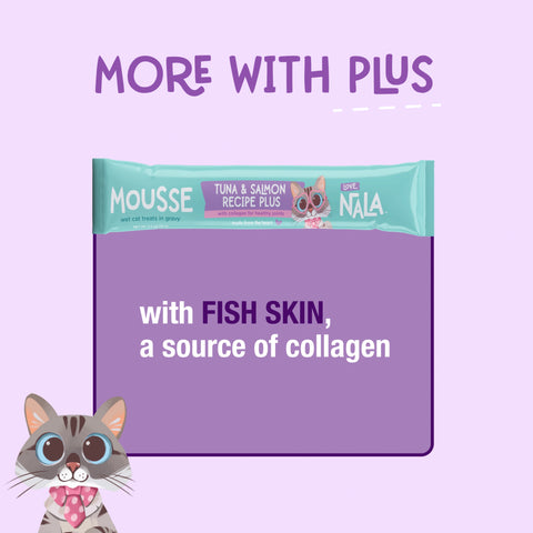 A graphic featuring a mousse tube while highlighting the benefits of mousse plus with fish skin as a source of collagen.