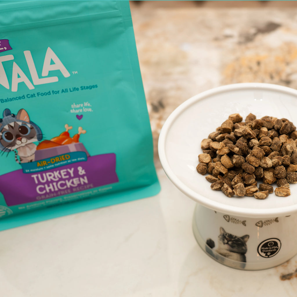 A bag Turkey & Chicken air-dried Cat Food stands on a marble surface next.