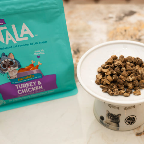 A bag Turkey & Chicken air-dried Cat Food stands on a marble surface next.