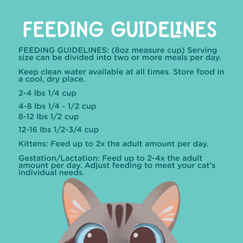 A teal graphic titled 'FEEDING GUIDELINES' with white text explaining cat feeding amounts by weight and a partial illustration of a cat's face at the bottom.