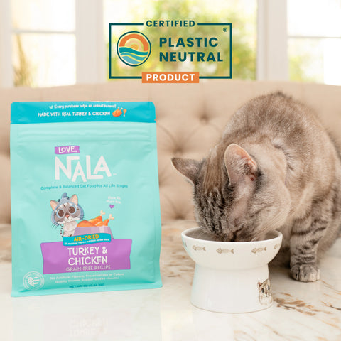 A teal promotional graphic with white text reading Plastic Neutral Product. A cat enjoys food from the bowl.