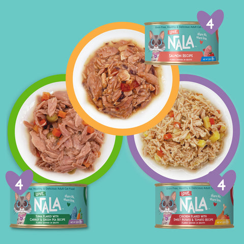 Nala cat food can with pumpkin recipe shown below a bowl of wet cat food, surrounded by illustrated pumpkin pieces on a light blue background.