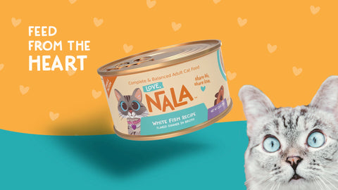 Cat food can with Nala branding and a cat on an orange and blue background