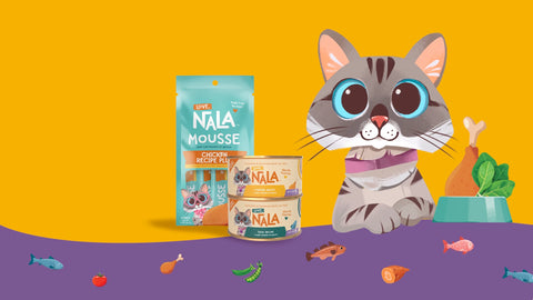 Nala Mousse cat food packaging shown with a cartoon cat character and pet food props on a stylized orange and purple background.