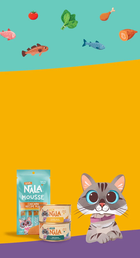 Nala Mousse cat food packaging shown with a cartoon cat on a stylized orange, teal, and purple background. The image includes floating illustrated food items at the top, such as a tomato, leaf, drumstick, fish, and sausage.