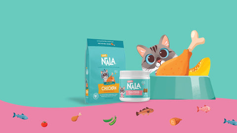 NALA pet food products including a chicken flavor bag and a jar, displayed next to a cartoon cat eating a chicken leg in a bowl, on a teal and pink background.