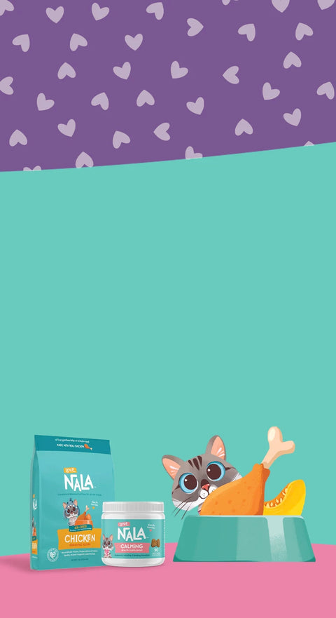 Nala pet food packaging and a cartoon cat in a bowl, shown on a stylized teal and pink background with a purple heart-patterned top section.
