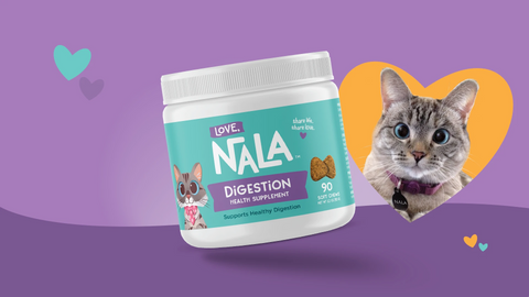 Love Nala cat health supplement jar with a cat illustration on a purple background