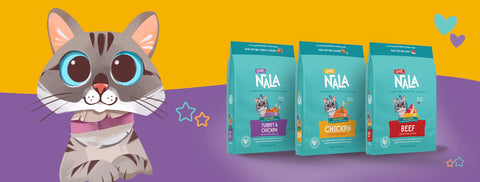 Animated cat character with NALA pet food packages on a purple and orange background