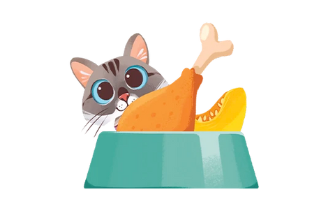 A cartoon-style illustration of a Nala cat with large blue eyes peeking over a teal bowl, with an orange drumstick and a yellow pumpkin slice above it on a white background.