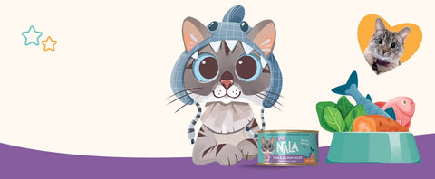 A stylized illustration of Nala cat wearing a blue shark hat, sitting beside a can of cat food and a bowl with fish and leaves. A small heart-shaped inset shows a real tabby cat photo.