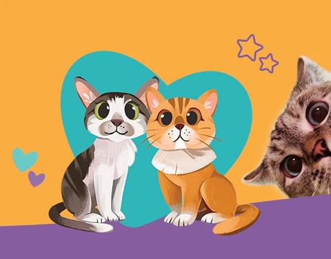 A stylized illustration of two cats sitting side by side in front of a teal heart on an orange background, with a Nala cat's face peeking in from the right side. Small heart and star doodles appear around them.